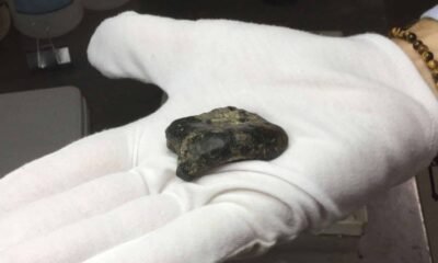 Sundaland hominin fossil site discovery