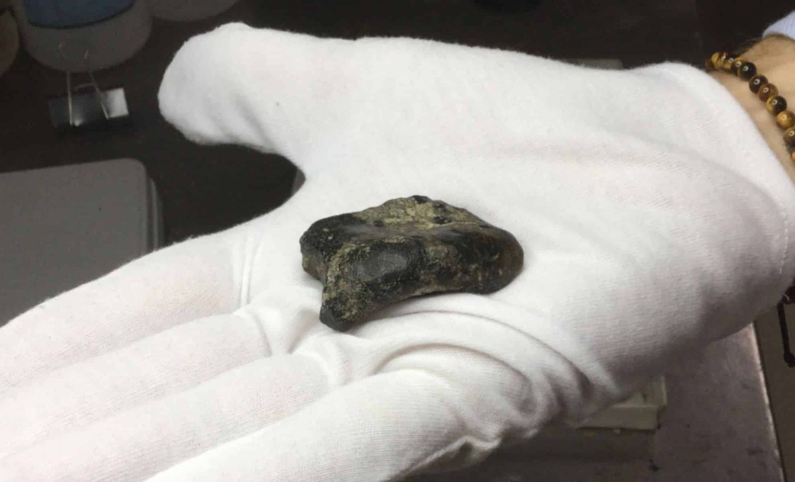 Sundaland hominin fossil site discovery